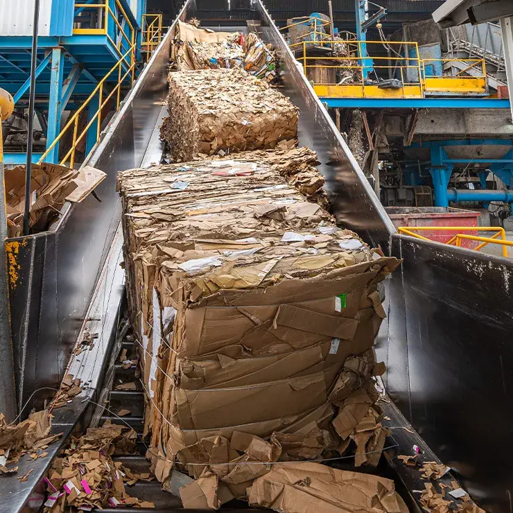 +95 mil toneladas al año